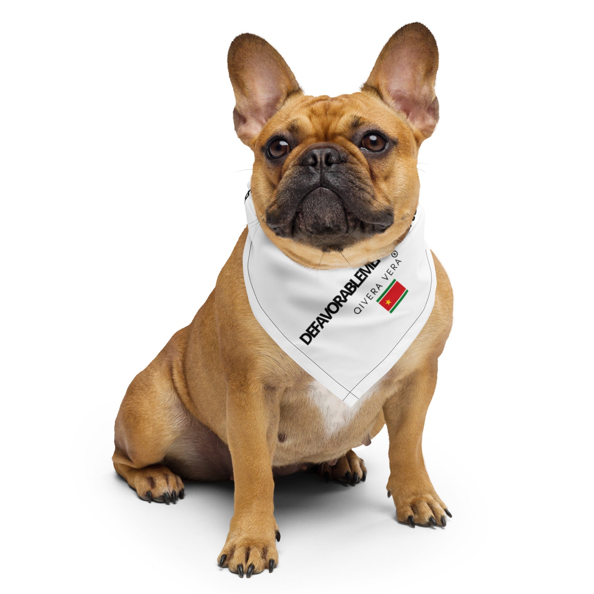 QIVERA VERA - DéfavorablementConnus_ Gwada Bandana - QIVERA VERAQIVERA VERA - DéfavorablementConnus_ Gwada BandanaQIVERA VERAéco - responsable